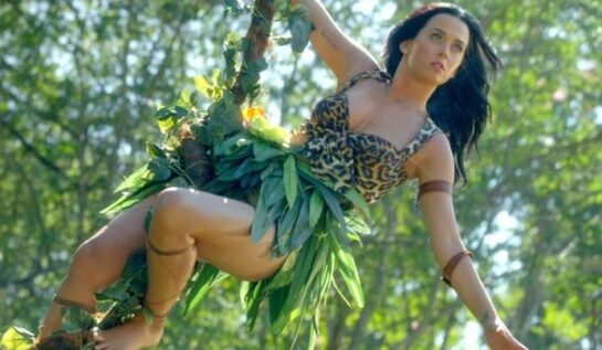 Katy Perry la puterea 20. Ascultă ce poate face un tip cu melodiile ei!