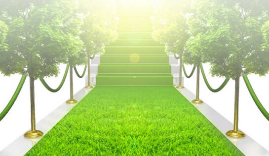 8 motive pentru care trebuie să fii cu ochii pe covorul verde de la ZUMA