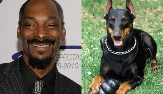 Snoop Dog și Pitbull evită să concerteze în România de frica hingherilor