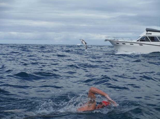 VIDEO Delfinii l-au salvat pe tipul ăsta de un rechin