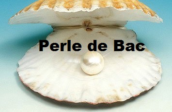 România e oficial pe primul loc la producția de perle de Bac din lume