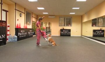 VIDEO OMG | O tipă şi un câine fac cea mai tare coregrafie
