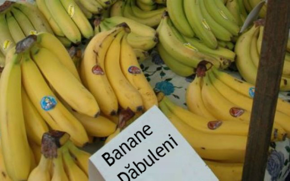 OPC avertizează românii: Nu cumpărați banane de Dăbuleni