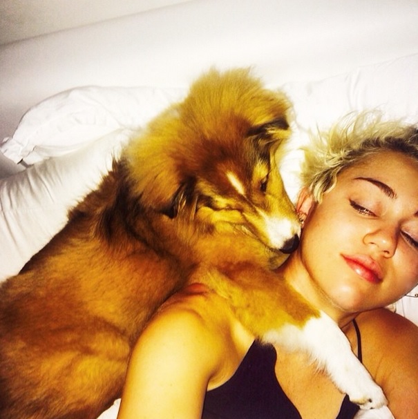 FOTO OMG | Miley Cyrus are un nou animal de companie… un porcuşor!