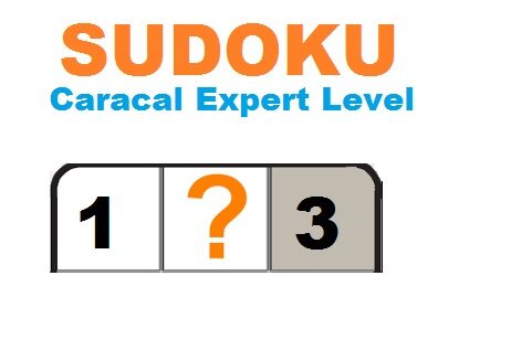 WOW! Celebrul joc SUDOKU are o versiune specială pentru cei din Caracal