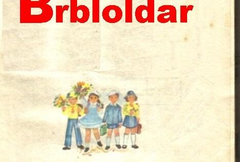 Ministerul Educației propune în școli Abecedarul pentru Internet denumit Brbloldar