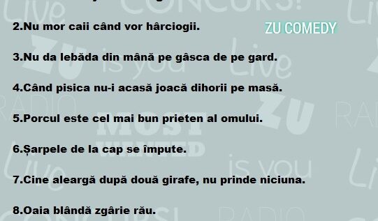 TOP 10 proverbe românești în viziunea Ministrului Educației Remus Pricopie!