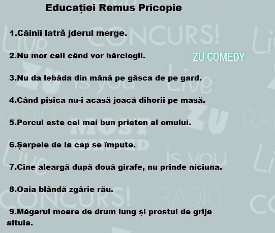 TOP 10 proverbe românești în viziunea Ministrului Educației Remus Pricopie!