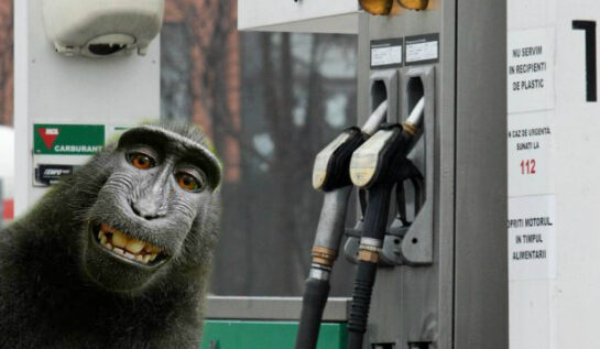 SELFIE de bogați! Băieții de bani gata se fotografiază când fac plinul la benzinărie!