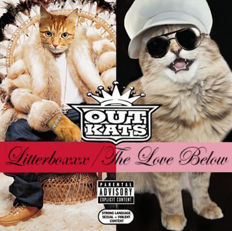 LOL! Vezi ce iese când înlocuiești artiștii hip-hop cu pisici.