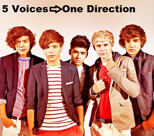 LOL Direction! TOP 10 cele mai tari glume despre formația One Direction