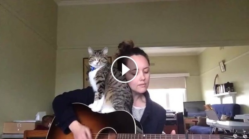 VIDEO | Ăsta e cel mai FRUMI filmuleţ pe care îl vei vedea astăzi! Ea e cea mai romantică pisică!