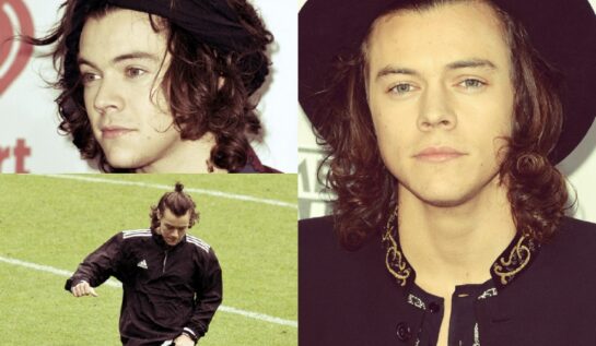 Evoluția părului lui Harry Styles