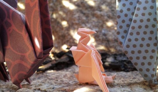 FOTO FRUMI | Uite ce chestii frumi poți face din origami!