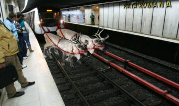 Surpriză de la Metrorex: În preajma Crăciunului, metroul va fi tras de reni!