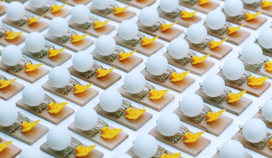 VIDEO OMG | Uite ce iese dacă pui 1.650 de mingi de ping-pong pe tot atâtea curse de șoareci!