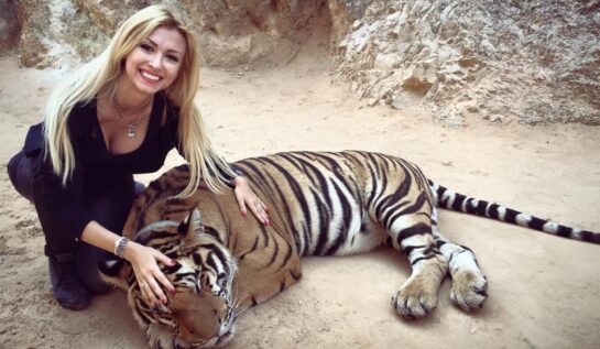 VIDEO OMG | Andreea Bălan a intrat în cușca tigrilor. Uite ce a urmat!
