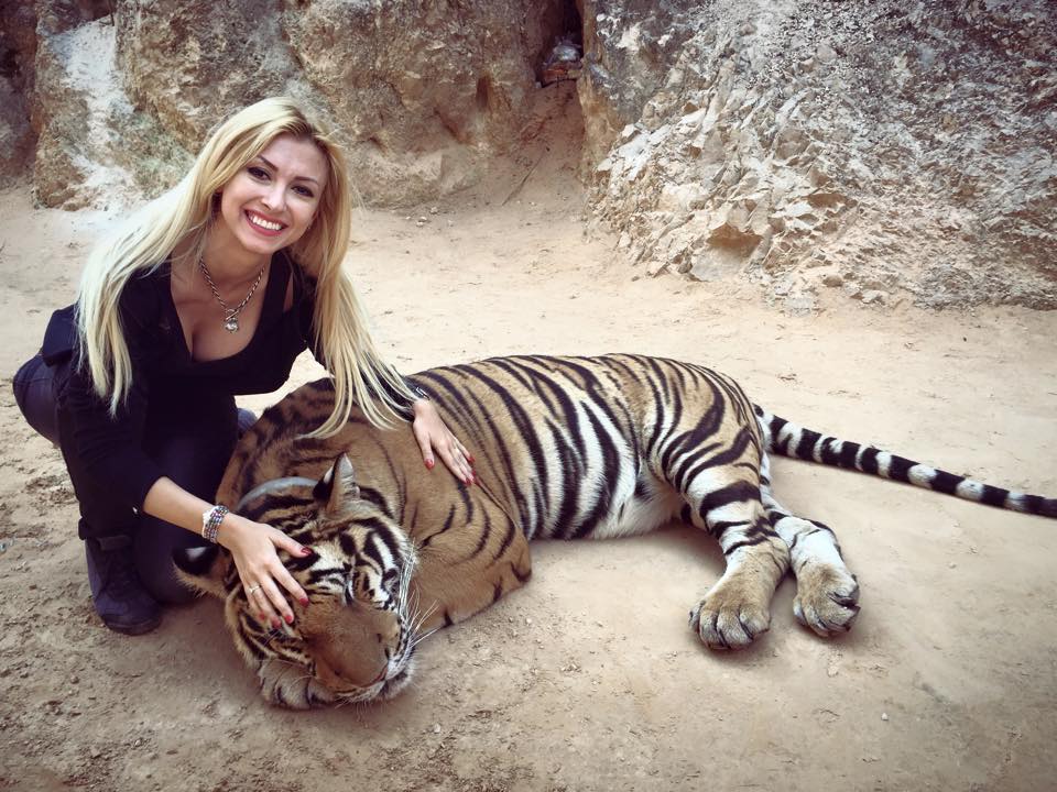VIDEO OMG | Andreea Bălan a intrat în cușca tigrilor. Uite ce a urmat!
