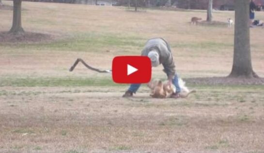 VIDEO LOL | El e cel mai încăpăţânat câine din lume. Nu vrea să plece din parc