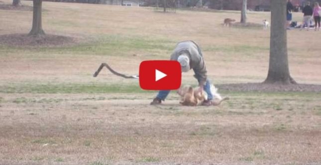 VIDEO LOL | El e cel mai încăpăţânat câine din lume. Nu vrea să plece din parc
