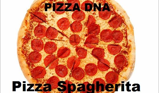 PIZZERIA DNA! Un restaurant oferă clienților meniu de pizza anticorupție!