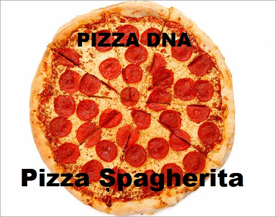 PIZZERIA DNA! Un restaurant oferă clienților meniu de pizza anticorupție!