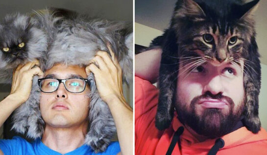 FOTO LOL | Ei folosesc pisicile pe post de pălărie!