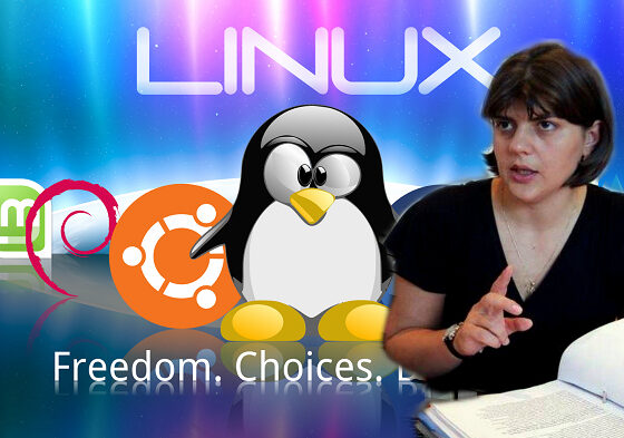 Culmea corupției: politicienii români cereau șpagă și pentru licențe Linux!