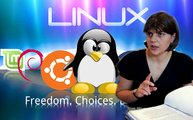 Culmea corupției: politicienii români cereau șpagă și pentru licențe Linux!