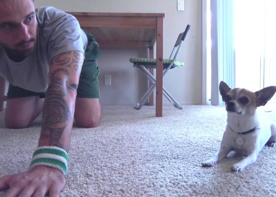 VIDEO LOL | Cățelul acesta face yoga cot la cot cu stăpânul lui!