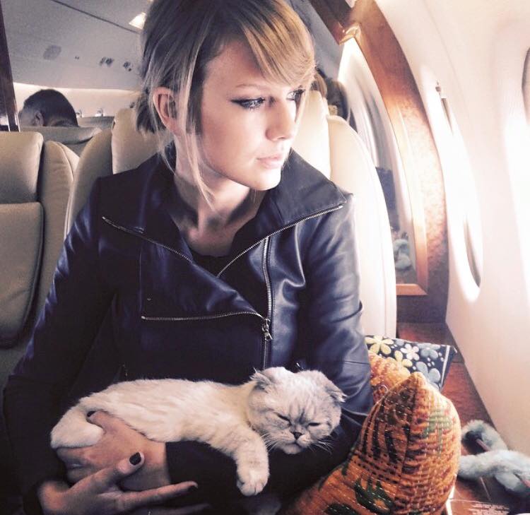 VIDEO LOL | Taylor Swift își coafează pisica cu foehnul!