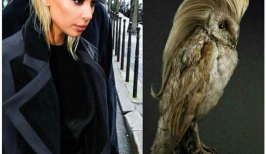 FOTO LOL | Cu ce/cine seamănă acum Kim Kardashian?