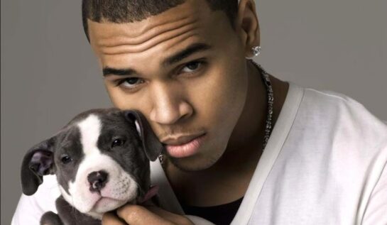 Combinație irezistibilă | Top 7 cei mai hot bărbați celebri cu pui de câine în brațe