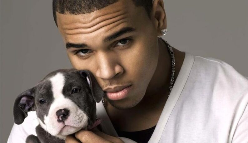 Combinație irezistibilă | Top 7 cei mai hot bărbați celebri cu pui de câine în brațe