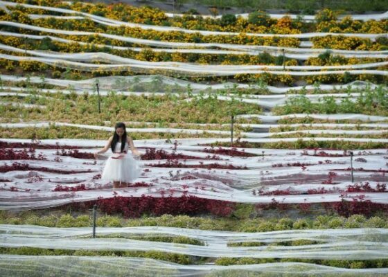 FOTO | Asta e cea mai lungă rochie din lume. Voalul măsoară 4.100 de metri!