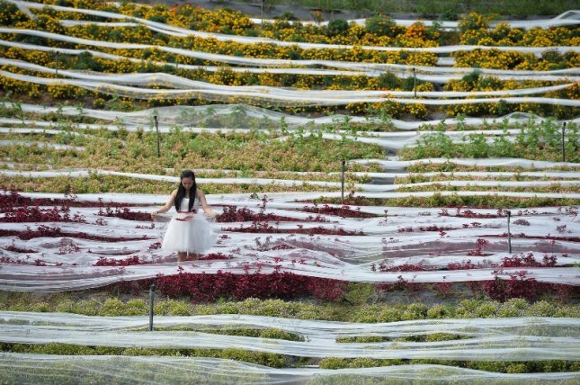 FOTO | Asta e cea mai lungă rochie din lume. Voalul măsoară 4.100 de metri!