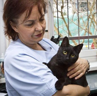 OMG: O pisică are grijă de animalele bolnave de la spitalul veterinar