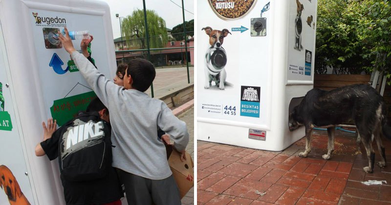 Această mașinărie hrănește animalele de pe străzi dacă reciclezi sticle