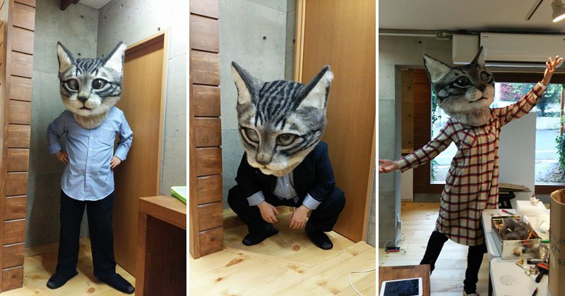 Câțiva studenți japonezi au creat acest cap imens de pisică