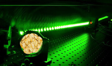 Un grup de turiști cocalari care au vizitat platforma de la Măgurele au testat laserul ca să prăjească semințe!
