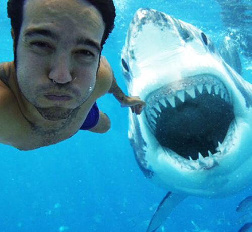 TOP 8 cele mai periculoase selfie-uri făcute vreodată