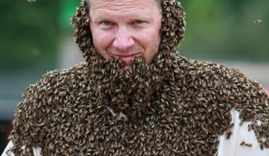 FOTO LOL: 7 oameni înțepați de albine. Pregătește-te să râzi!