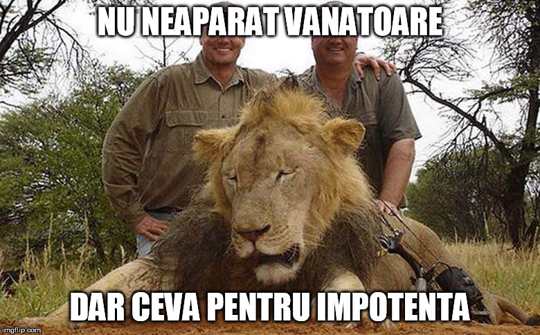 Cele mai tari glume despre odiosul dentist american care a ucis un leu celebru în Africa!