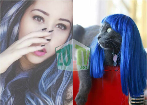 15 momente în care Nicole Cherry a semănat perfect cu o pisică