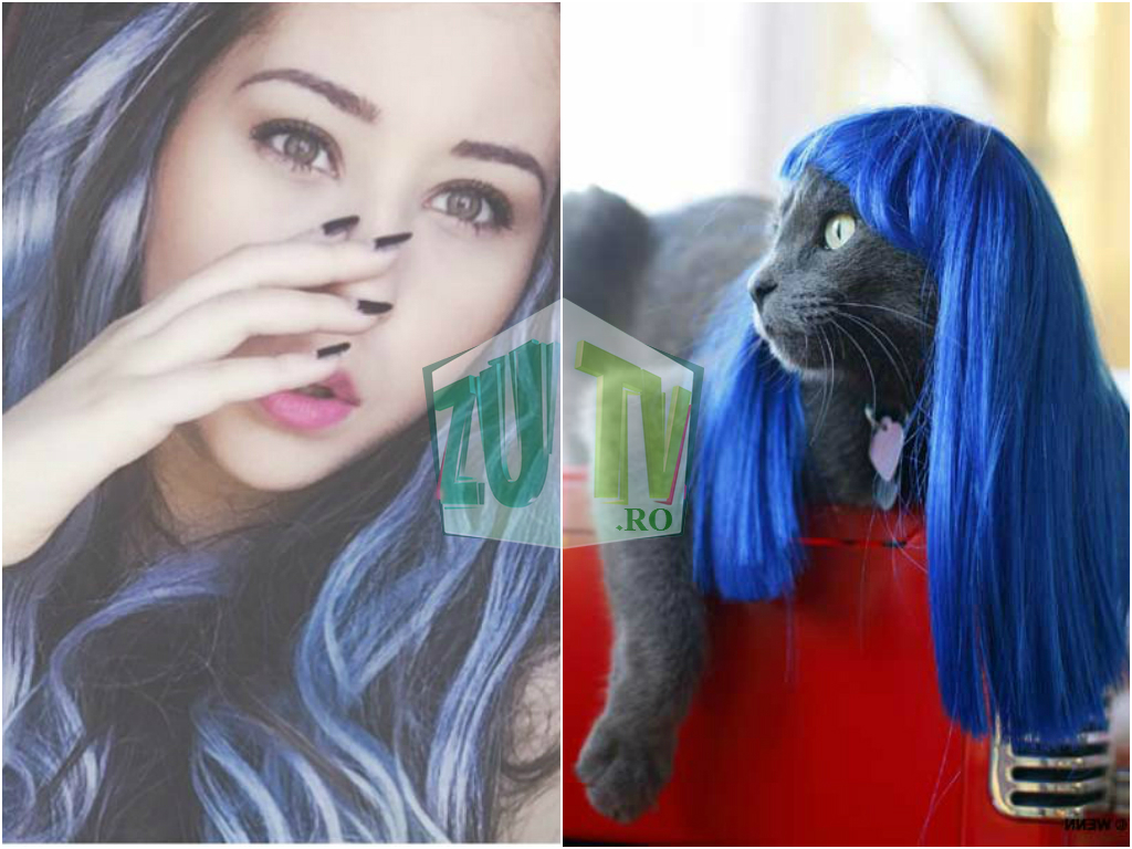 15 momente în care Nicole Cherry a semănat perfect cu o pisică