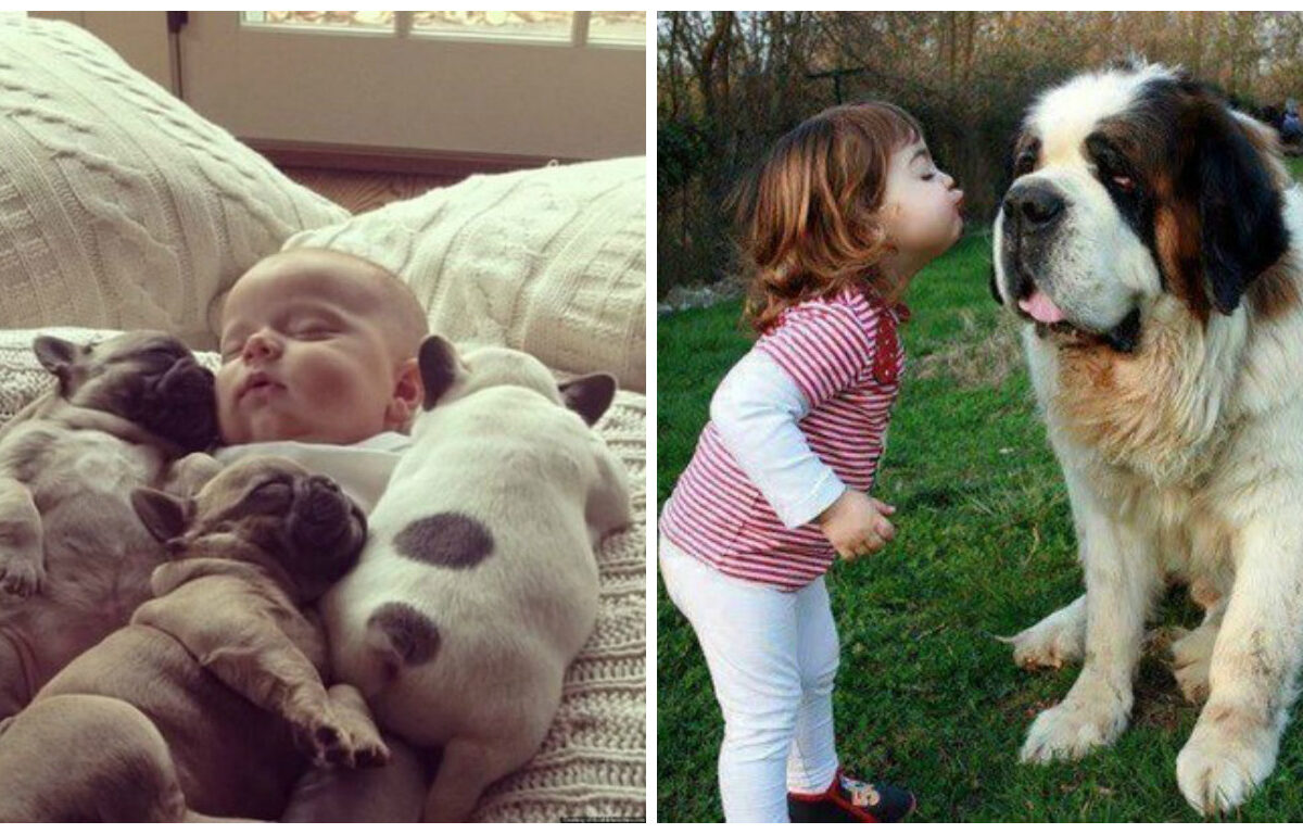 17 poze cu bebeluși și câini care îți vor face ziua mai frumoasă