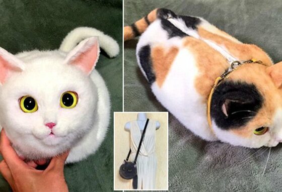 O nouă nebunie fashion de la japonezi: Gențile în formă de pisică!