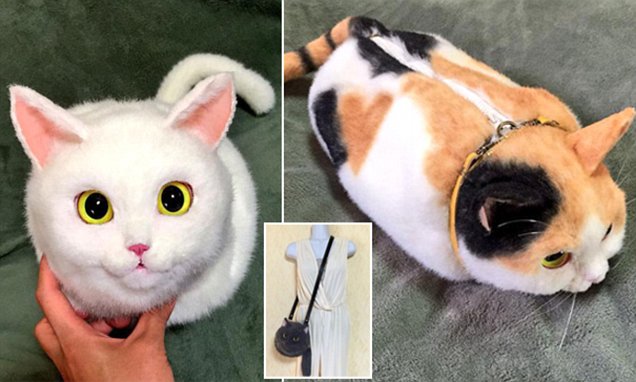 O nouă nebunie fashion de la japonezi: Gențile în formă de pisică!