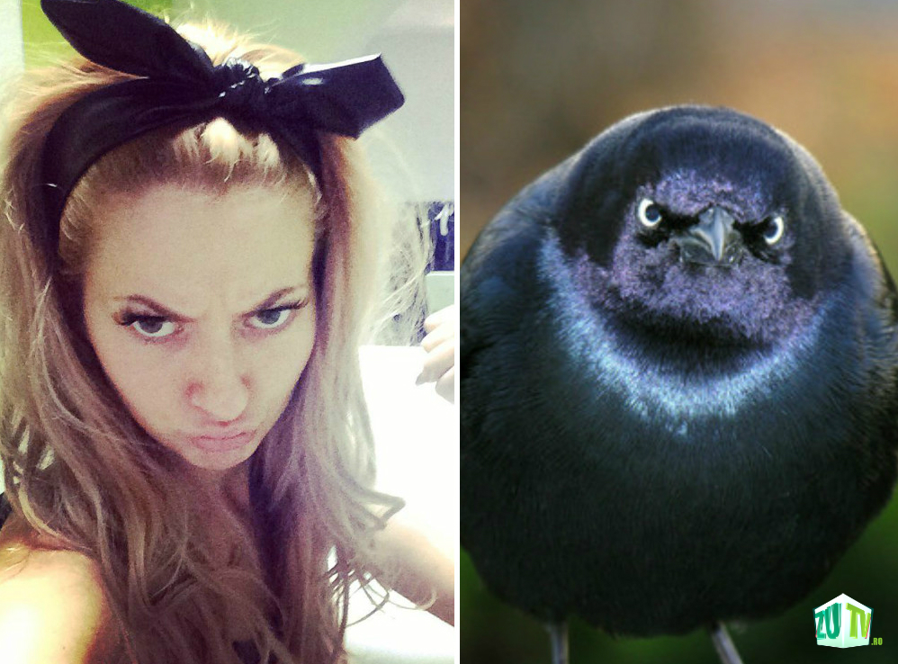 14 momente în care Lidia Buble a semănat perfect cu 14 păsări funny