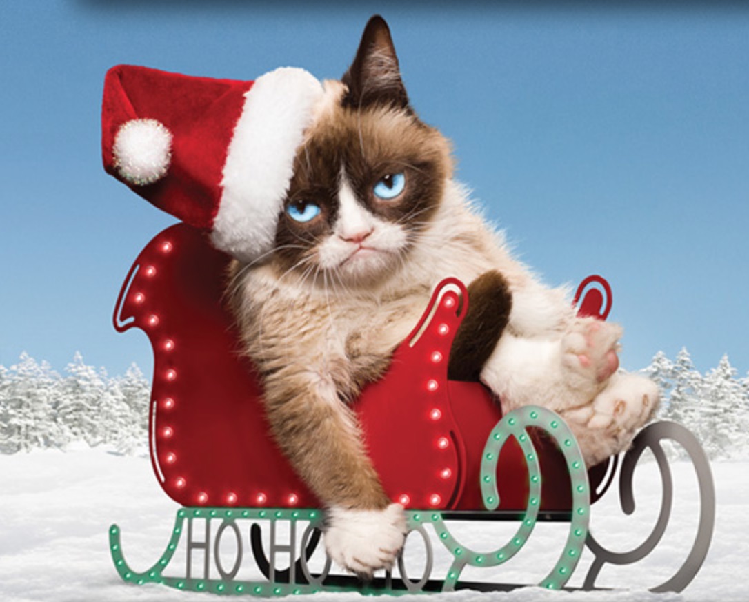 VIDEO: Grumpy Cat cântă „A Very Grumpy Christmas
